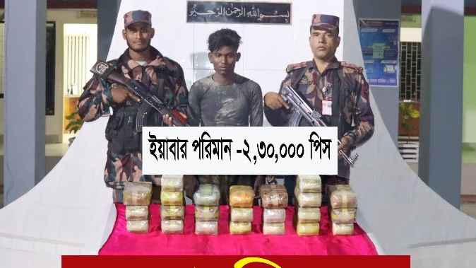 ২ লাখ ৩০ হাজার  ইয়াবাসহ মিয়ানমারের নাগরিক গ্রেফতার